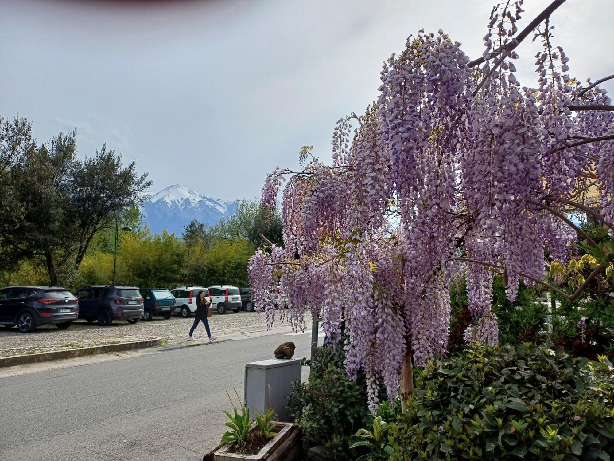 Agriturismo San Giovanni Ad Insulam Isola del Gran Sasso dʼItalia 外观 照片