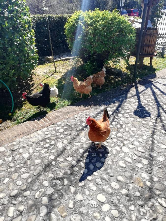Agriturismo San Giovanni Ad Insulam Isola del Gran Sasso dʼItalia 外观 照片